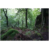 Coppenbruegge-ActionFoto24.de-017.jpg