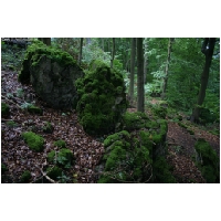 Coppenbruegge-ActionFoto24.de-030.jpg