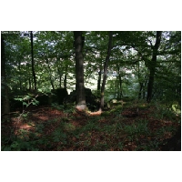 Coppenbruegge-ActionFoto24.de-032.jpg