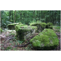 Coppenbruegge-ActionFoto24.de-044.jpg