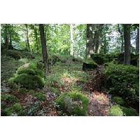 Coppenbruegge-ActionFoto24.de-047.jpg