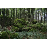 Coppenbruegge-ActionFoto24.de-049.jpg