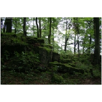 Coppenbruegge-ActionFoto24.de-051.jpg