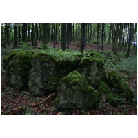 Coppenbruegge-ActionFoto24.de-052.jpg