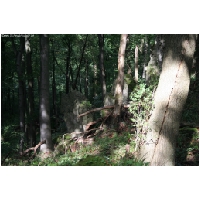 Coppenbruegge-ActionFoto24.de-072.jpg