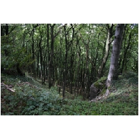 Coppenbruegge-ActionFoto24.de-084.jpg