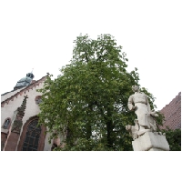 Einbeck-ActionFoto24.de-055.jpg