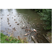 Einbeck-ActionFoto24.de-114.jpg