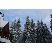 Hahnenklee-Bockswiesen-Actionfoto24.de-009.jpg