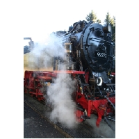 Harz-Brocken-Bahn-Actionfoto24.de-010.jpg