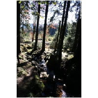 Harz-Brocken-Bahn-Actionfoto24.de-024.jpg