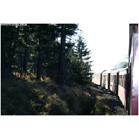 Harz-Brocken-Bahn-Actionfoto24.de-067.jpg