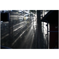 Harz-Brocken-Bahn-Actionfoto24.de-084.jpg