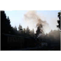 Harz-Brocken-Bahn-Actionfoto24.de-102.jpg