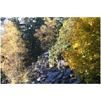 Harz-Brocken-Bahn-Actionfoto24.de-108.jpg