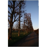 Herrenhaeuser-Gaerten-Actionfoto24.de-032.jpg