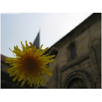 Hildesheim-Actionfoto24.de-003.jpg