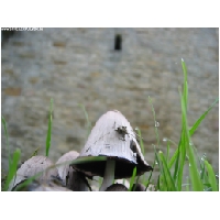 Hildesheim-Actionfoto24.de-009.jpg