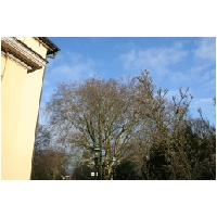 Uelzen_ActionFoto24-de-011.jpg