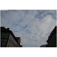 Uelzen_ActionFoto24-de-082.jpg