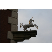 Lueneburg--Actionfoto24.de-061.jpg