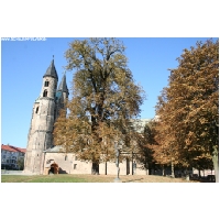 Magdeburg-Actionfoto24.de-054.jpg