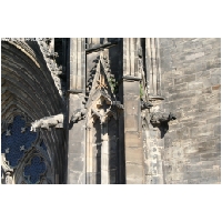 Magdeburg-Actionfoto24.de-074.jpg