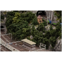MIWULA-Actionfoto24.de-152.jpg