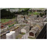 MIWULA-Actionfoto24.de-243.jpg