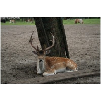 Serengeti-Park-Actionfoto24.de-014.jpg
