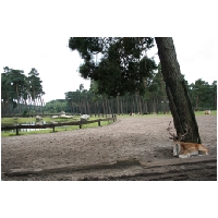 Serengeti-Park-Actionfoto24.de-015.jpg