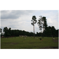 Serengeti-Park-Actionfoto24.de-042.jpg
