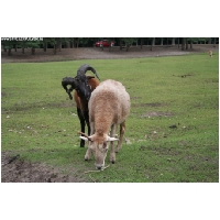 Serengeti-Park-Actionfoto24.de-043.jpg
