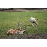 Serengeti-Park-Actionfoto24.de-047.jpg