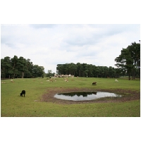 Serengeti-Park-Actionfoto24.de-050.jpg