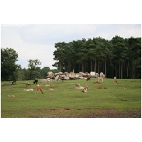 Serengeti-Park-Actionfoto24.de-051.jpg