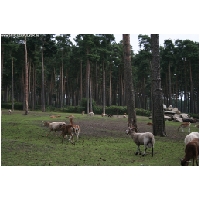 Serengeti-Park-Actionfoto24.de-053.jpg