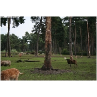 Serengeti-Park-Actionfoto24.de-054.jpg