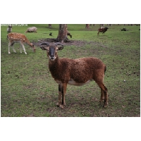 Serengeti-Park-Actionfoto24.de-061.jpg