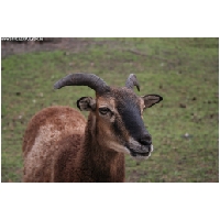 Serengeti-Park-Actionfoto24.de-062.jpg