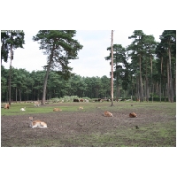 Serengeti-Park-Actionfoto24.de-065.jpg