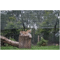 Serengeti-Park-Actionfoto24.de-069.jpg
