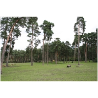 Serengeti-Park-Actionfoto24.de-091.jpg