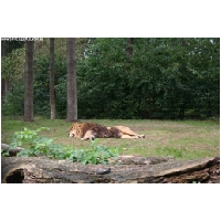 Serengeti-Park-Actionfoto24.de-096.jpg