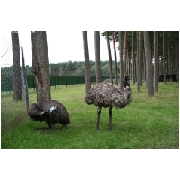 Serengeti-Park-Actionfoto24.de-117.jpg