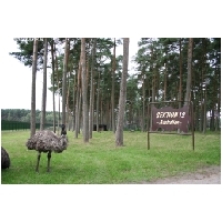 Serengeti-Park-Actionfoto24.de-118.jpg