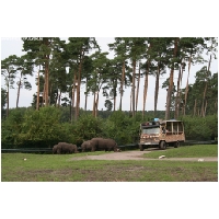 Serengeti-Park-Actionfoto24.de-124.jpg