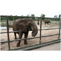 Serengeti-Park-Actionfoto24.de-126.jpg