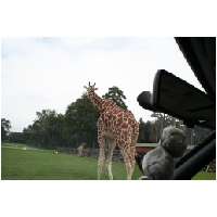 Serengeti-Park-Actionfoto24.de-133.jpg