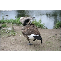 Serengeti-Park-Actionfoto24.de-190.jpg